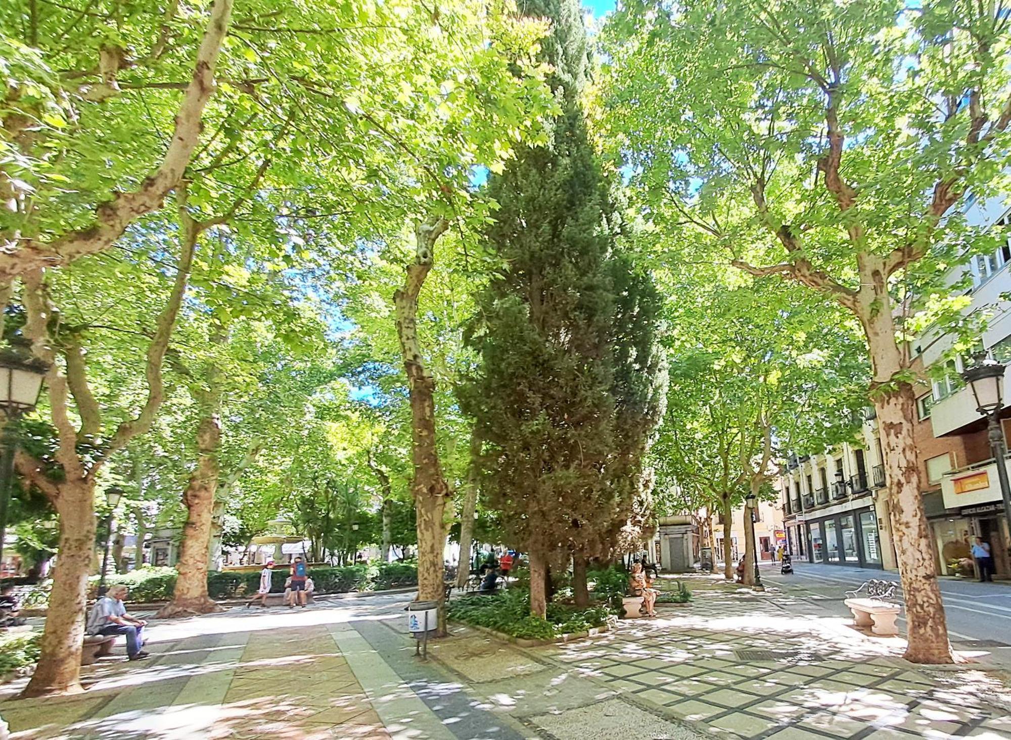 Apartasuite Centro Historico Atico Tranquilo Y Luminoso En El Corazon De Granada Buitenkant foto