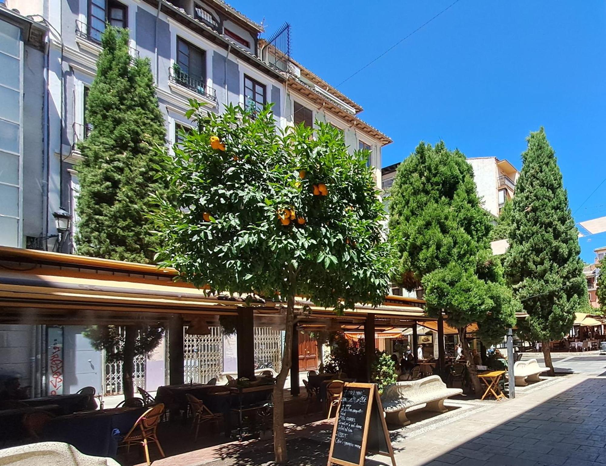 Apartasuite Centro Historico Atico Tranquilo Y Luminoso En El Corazon De Granada Buitenkant foto